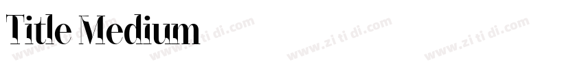 Title Medium字体转换